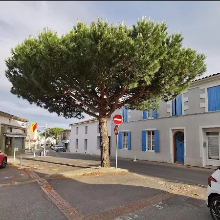 Dans Centre Meschers/gironde